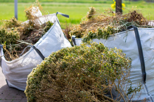 Reliable Westwood, KY Junk Removal Services Solutions